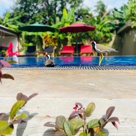 The Kingslayer Resort Negombo Exterior photo